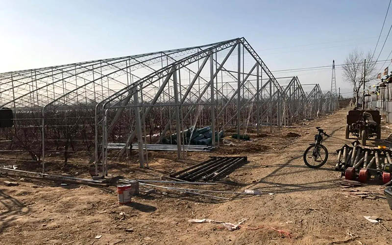 院子搭棚價格 院子搭棚價格